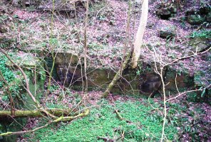 Mellor_mill3.jpg